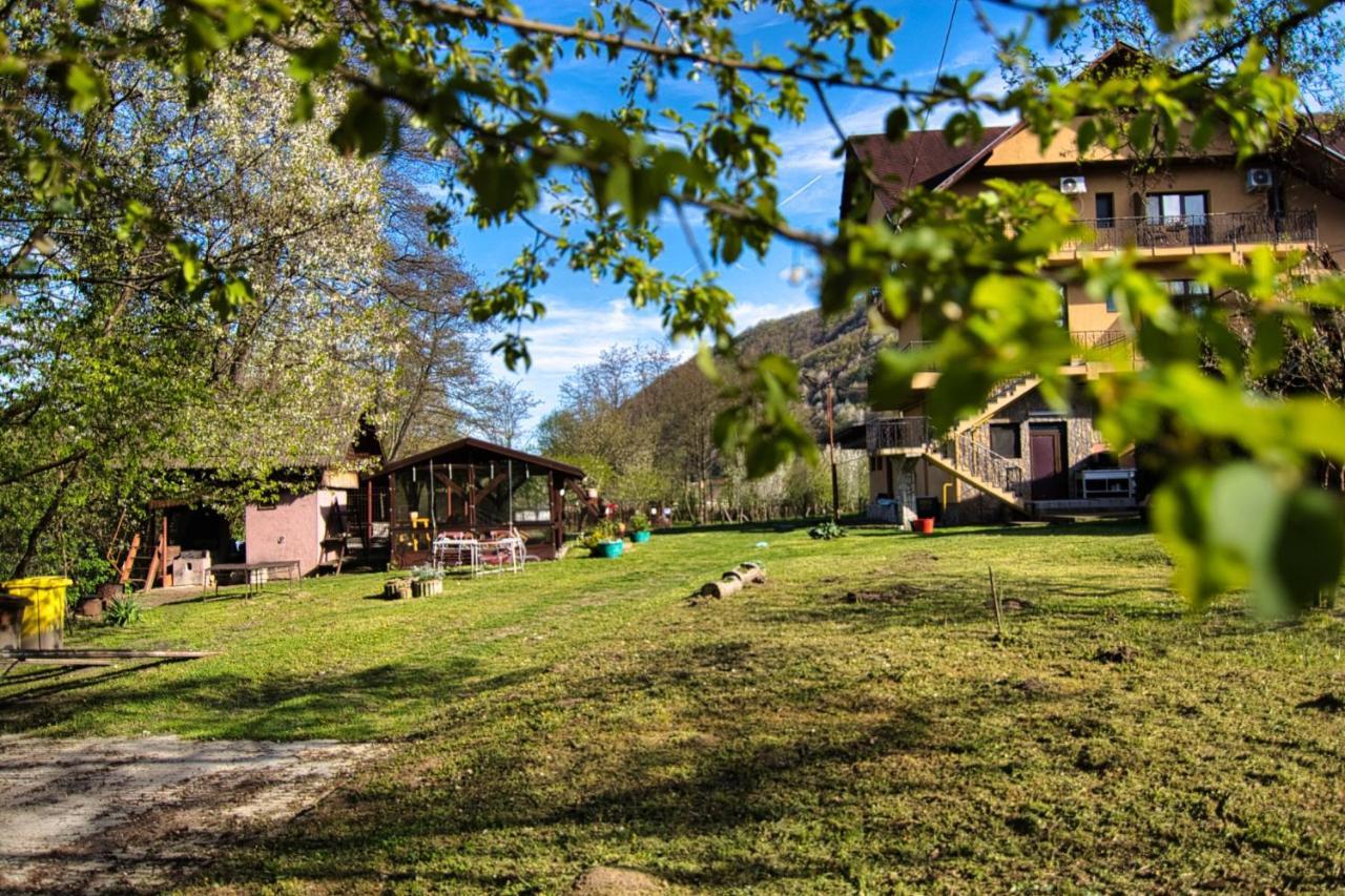 Motel Seaca Călimăneşti Exterior foto